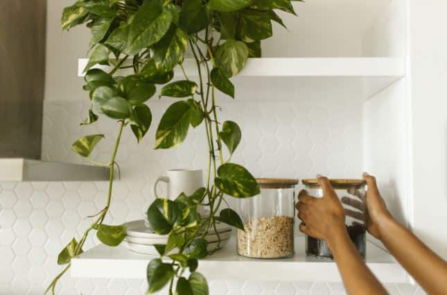 Spring Cleaning: The Deep Dive Into Deep Cleaning Your Kitchen 8