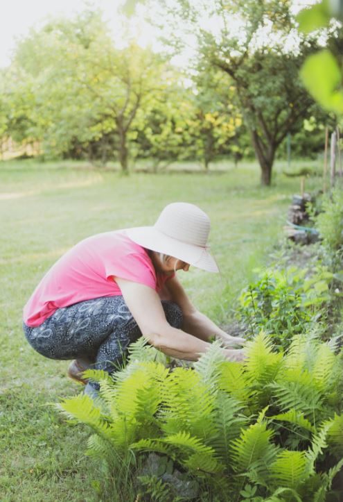7 Quick Tips For An Organized Backyard And Outdoors 4